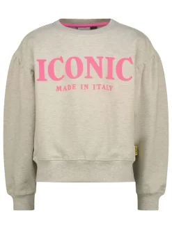 Sweatshirt taupe