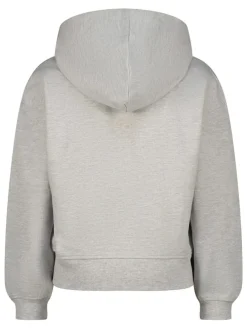 Sweatvest grijs