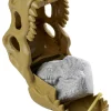 T-Rex schedel met doos - vanaf 3 jaar