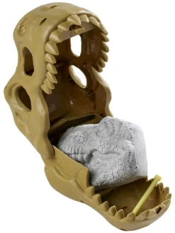 T-Rex schedel met doos - vanaf 3 jaar