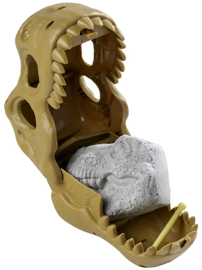 T-Rex schedel met doos - vanaf 3 jaar