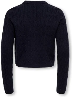 Trui "Gibi" donkerblauw
