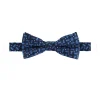 Vlinderdas blauw
