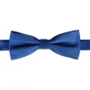 Vlinderdas blauw