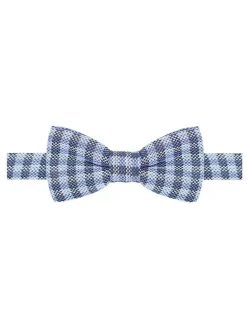 Vlinderdas blauw