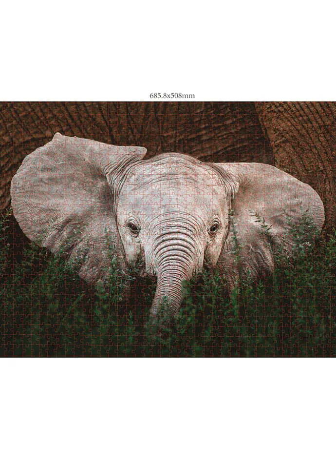 3x 1.000-delige puzzel "Wilde dieren" - vanaf 10 jaar